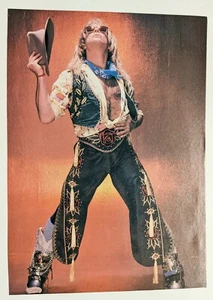 VAN HALEN / DAVID LEE ROTH / STRYPER / REVISTA PÁGINA COMPLETA PINUP PÓSTER RECORTE - Imagen 1 de 2
