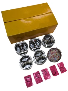 Pistons NPR avec anneaux compatibles 02-10 Dodge Jeep Mitsubishi 3.7 SOHC 5pcs - Photo 1/7