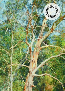 AUSTRALIAN BUSH - Christian/ Religious Birthday Card - Big 5" x 7" Card - Picture 1 of 3