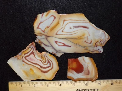 WEBERockin:  Goldfield Jasper Slabs, Nevada - Image 1 of 4