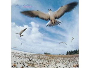 Masayoshi Takanaka "SEYCHELLES" Japan Music SHM-CD Album UPCY-6709 4988005770424 - Picture 1 of 1