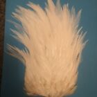 A  Large 10 Inch Vintage quality white cape for fly tying ( Pike & Sea Flies Etc