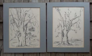 (2) Vintage Baumzeichnungen Bleistiftskizzen signiert Rosie (1963) 12" x 14" mattiert - Bild 1 von 6