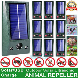 USB & Solar Ultrasonic Animal Repellent Dog Cat Skunk Deer Raccoon For Garden