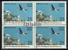 Bharatpur National Park BLOCK Spoonbill  Water Birds Vogel Bird Indien oiseaux 