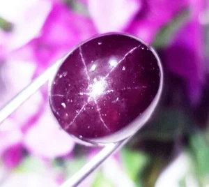100 % natürlicher Stern Rubin loser Edelstein 13,55 ct zertifiziert mit kostenlosem Geschenk - Bild 1 von 6
