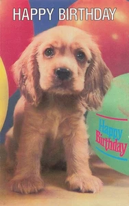 Postcard Golden Retriever Puppy with Balloons Walter Chandoha Animal League - Picture 1 of 2