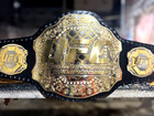 UFC ULTIMATE FIGHTING CHAMPIONSHIP TITLE REPLICA BELT 2MM Brass Dual Plate Adult