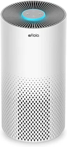 Air Purifiers for Home Large Room up to 1076 Ft² - Picture 1 of 12