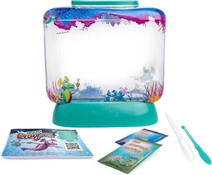 Set Acquario Educativo con Uova di Draghi Acquatici da Far Schiudere - Afbeelding 1 van 6
