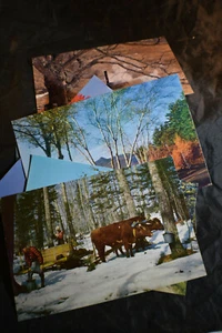 6 *LARGE* Vermont & New Hampshire Postcards - Picture 1 of 12