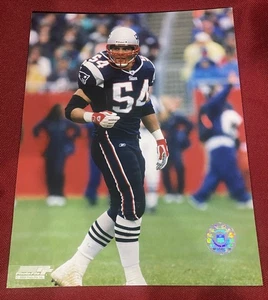 TEDY BRUSCHI 8X10 UNSIGNED PHOTO FILE PHOTOFILE LICENSED NEW ENGLAND PATRIOTS - Picture 1 of 1