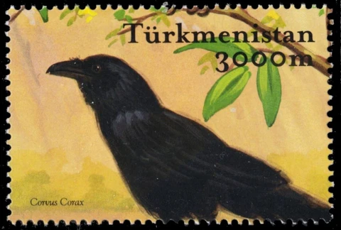 TURKMENISTAN 88f - Common Raven "Corvus corax" (pb63688) Cover