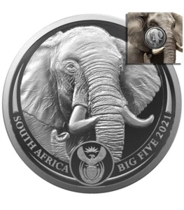 Silberműnze Elefant Big Five 2 im Blister 2021 ST Sűdafrika Neu 1 Oz - Bild 1 von 2