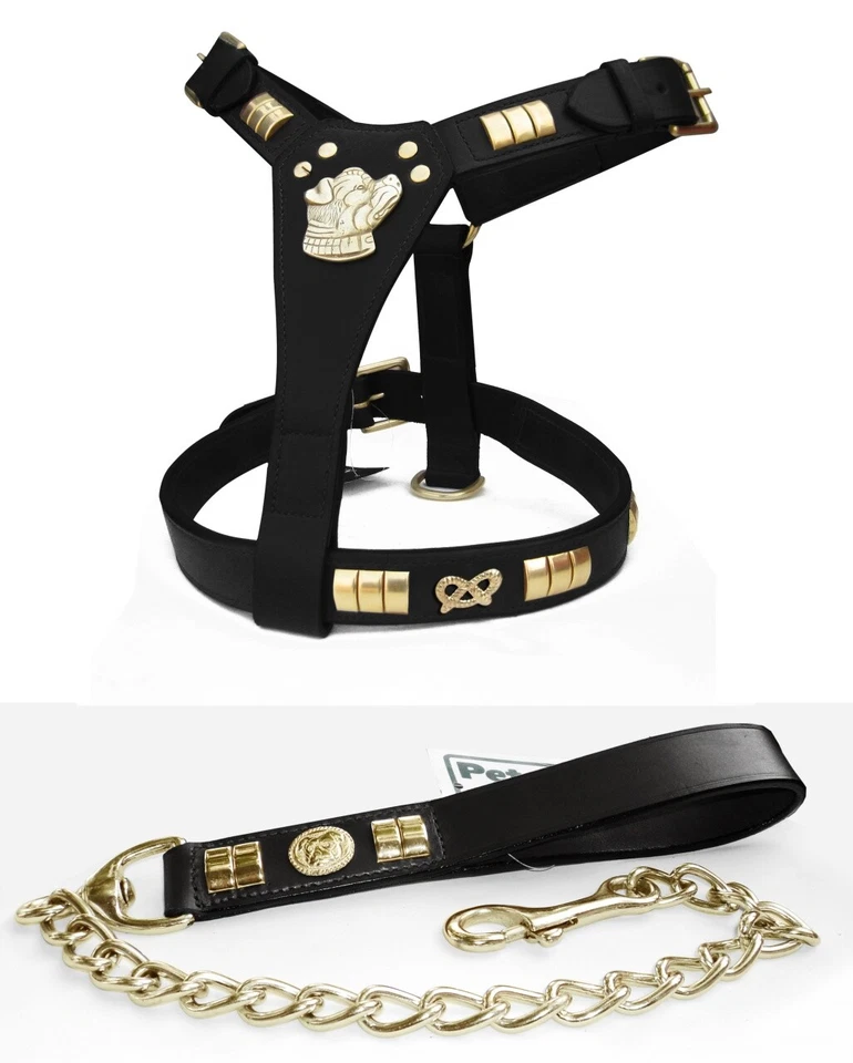 Staffy Staffordshire leather dog harness and chain lead set knot brass fitting - Image 1 of 1