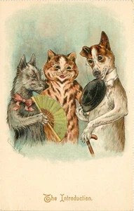 Tuck Postcard 298 Louis Wain Cat Matchmaker for Dogs, The Introduction, Unposted - Picture 1 of 2