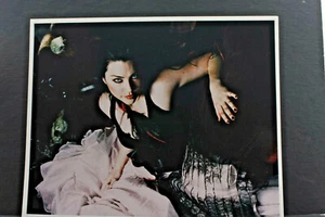 Amy Lee Evanescence 8x10" Photo Print - Pre-2012 L1328H - Picture 1 of 1