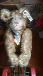 sreiff record petsy 1928 Replica Bär auf Wagen ohne Karton - Bild 1 von 3