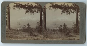 Tarjeta de visión estéreo Underwood & Underwood Mount Shasta 351 1904 - Imagen 1 de 2