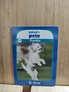 RSPCA Pets ๐ #17 POODLE Trading Card ๐FREE POST - Picture 1 of 1