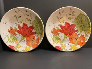 Certified International vegetable bowls -Color Bakery -Mindy Sommers-Retro - Picture 1 of 6