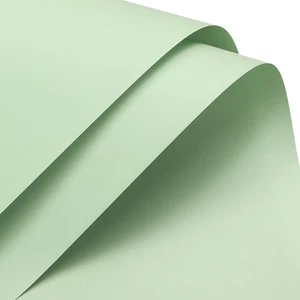 Perlato Pellicola Fiore Avvolgimento Carta 22.8x22.8" Chiaro Verde 10pz - Foto 1 di 8