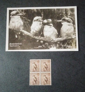 UNIQUE AUSTRALIA STAMP & “ARTIST REFERENCE PICTURE” FOR STAMP DESIGN OF 6D “KOOK - Picture 1 of 1