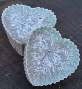 12 pack 180hr PATCHOULI, OUD WOOD & BLACK ROSE Scent Oil Burner ECO CANDLE MELTS - Picture 1 of 24