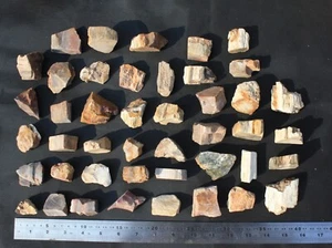 43 x pieces Fossil Petrified Wood Rough Chunk Fossils As per photo - Picture 1 of 1