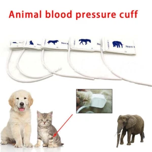 Tiere Pet Verwenden Einweg NIBP Blutdruck Manschette für Katze Hund Veterinär - Photo 1/13