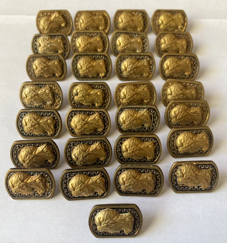 Antique Greek cameo gold plated buttons. Military? Rare find! huge lot! stunning Cover