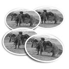 4x Round Stickers 10 cm - BW - Himalayan Yak Animal Travel  #38232