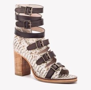 Vintage Foundry Co. Odessa Gladiator Leather Sandals Sz 9.5-10.5 Block Heel - Picture 1 of 14