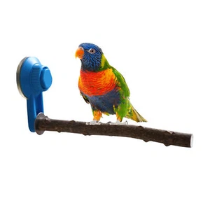 Parrot Perch Shower Stand Window Wall Suction Cup Natural Pepper Wood Perches - Picture 1 of 9