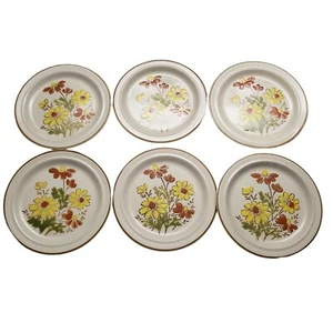 Lot of 6 Stoneware Bonnie-Fleur Pattern Dinner Plates VTG 1960s Japan 10.5" - Imagen 1 de 5