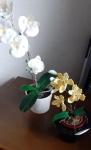 🎵 2 Deko Orchidee Set Kunstpflanzen im Topf - Landhaus Impressionen 🎵 - Bild 1 von 6
