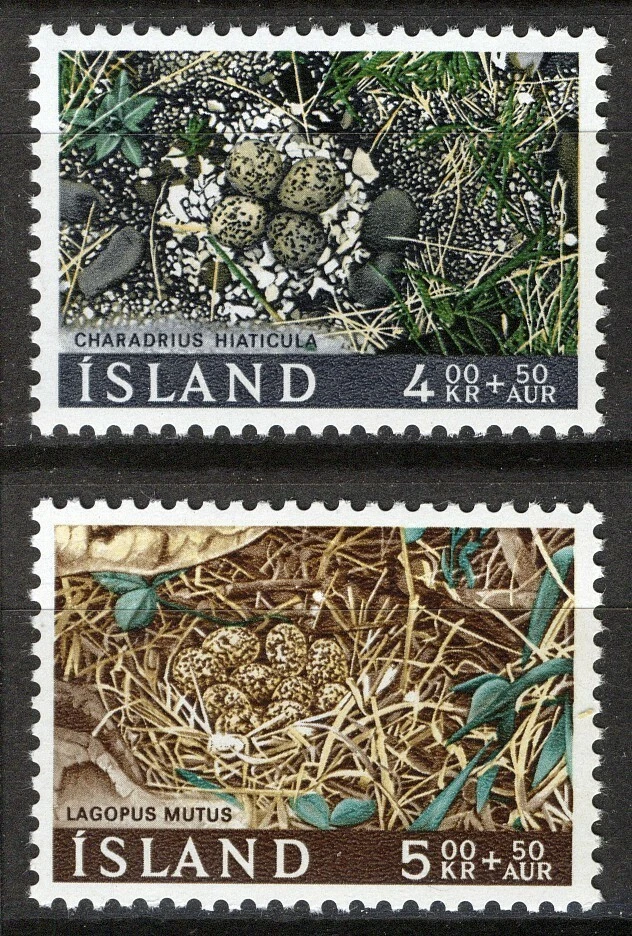 Islandia 1967, Birds, Bird's Nest Set VF MNH, Mi 413-414 Foto 1 de 1