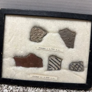 Glas Riker Box mit Pueblo Keramik Fossil beschriftet 700 n. Chr. & 900 n. Chr. - Bild 1 von 12