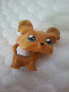 LPS 06 Littlest petshop pet shop Yorkshire dog Hasbro - Picture 1 of 7