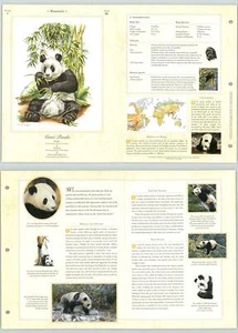 Giant Panda #36 Mammals - The Illustrated Animal Library Fold-out Page & Print - Picture 1 of 2