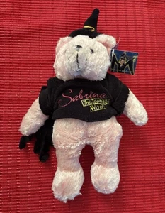 Sabrina The Teenage Witch Limited Edition only 2000) Sabrina Bear 1999 -w/Tag - Bild 1 von 7