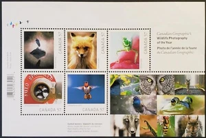 Stamps Canada Mint: #2388 57c Wildlife Photography SS of 5 VF MNH - Picture 1 of 1
