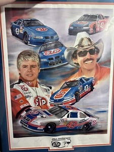 Richard Petty Stampa FIRMATA di Jeanne Barnes GRANDE 24x17 Numerata Certificata RARA - Foto 1 di 6