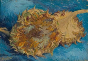 Sunflowers 1887, Vincent van Gogh, Wall Art Print Poster 11" x 14"       1895 - Picture 1 of 1