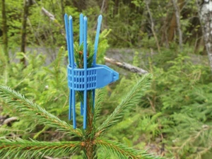 TS-Schutzmanschetten, Verbissschutz, Wildverbiss, Kieferle 008.004 - Bild 1 von 1