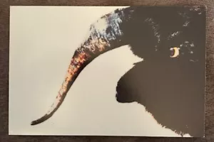 Slipknot Iowa Promo Postcard 2001 Roadrunner Records - Picture 1 of 2