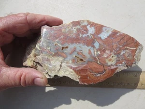742  FACE POLISHED YOUNGITE.  GUERNSEY, WY.  FLUORESCENT, EX TIME OLD ROCK SHOP - Picture 1 of 7