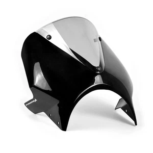 Triumph Speed 400 2024-2025 Black Screens - Picture 1 of 8