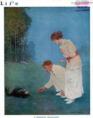 Life VICTOR C ANDERSON Skunk ARMY vs NAVY FOOTBALL AD Suffrage FANITY FAIR 1914 - Image 1 of 4