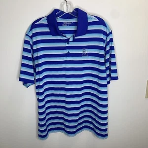 Nike Golf Para Hombres L Azul Rayas Tour Performance Dri-Fit Manga Corta Polo - Imagen 1 de 8